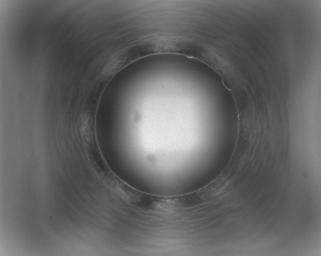 X0000068740079200604281150