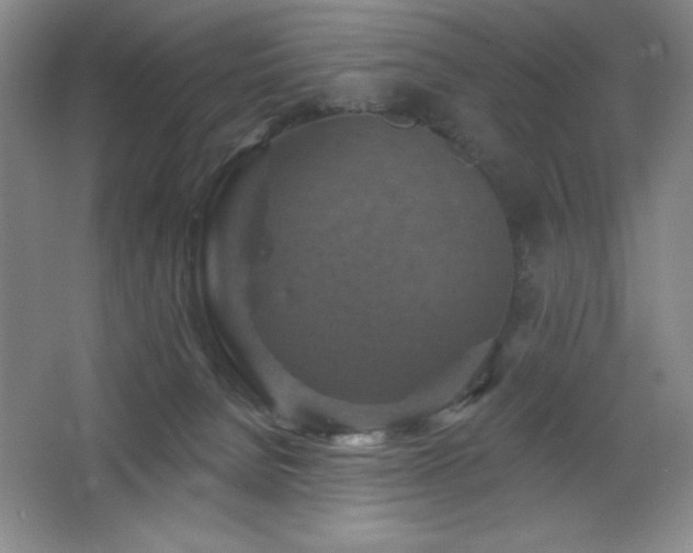 X0000068740080200604281150