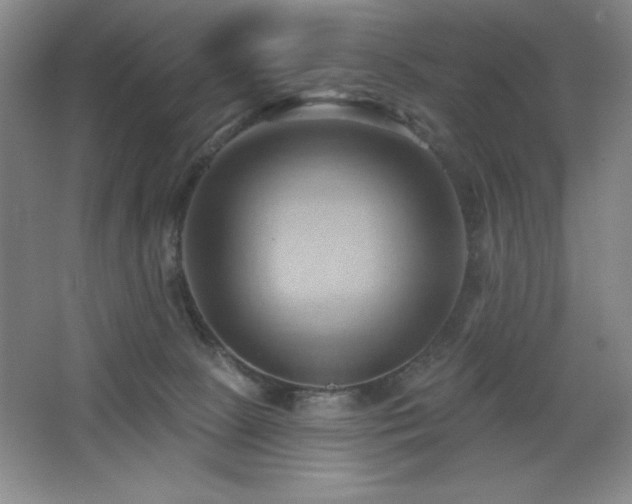 X0000068740081200604281150