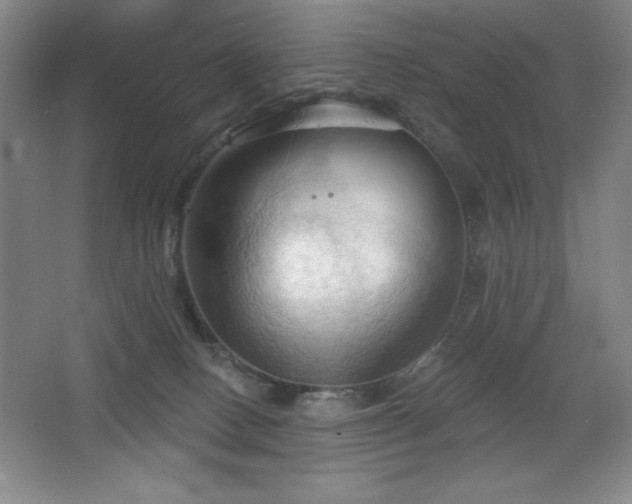 X0000068740082200604281151