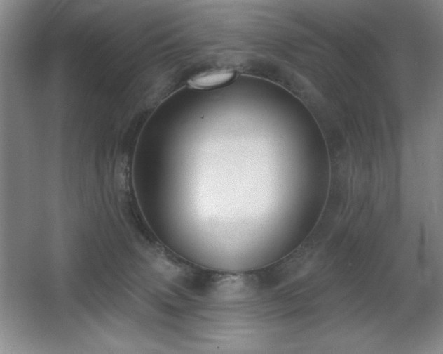 X0000068740083200604281151