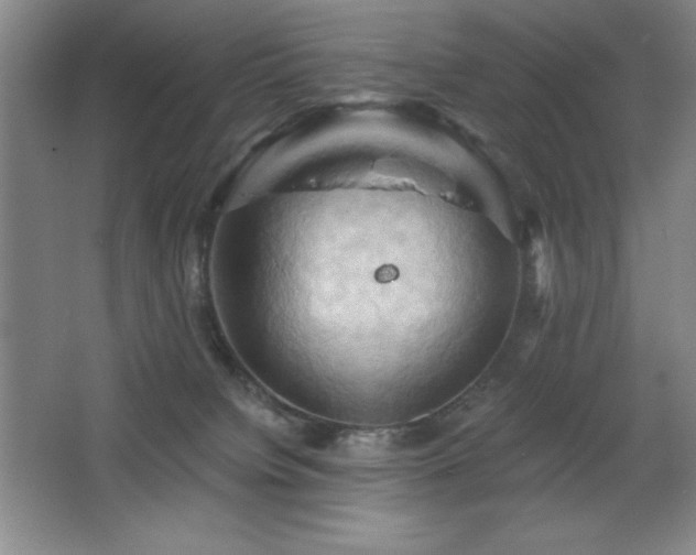 X0000068740084200604281151