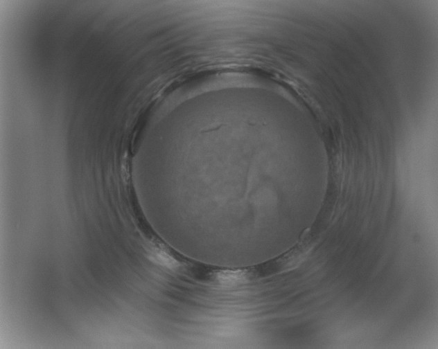 X0000068740085200604281151