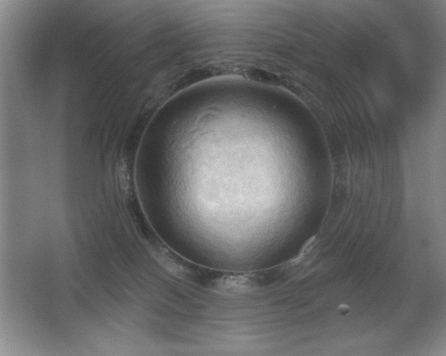 X0000068740086200604281151