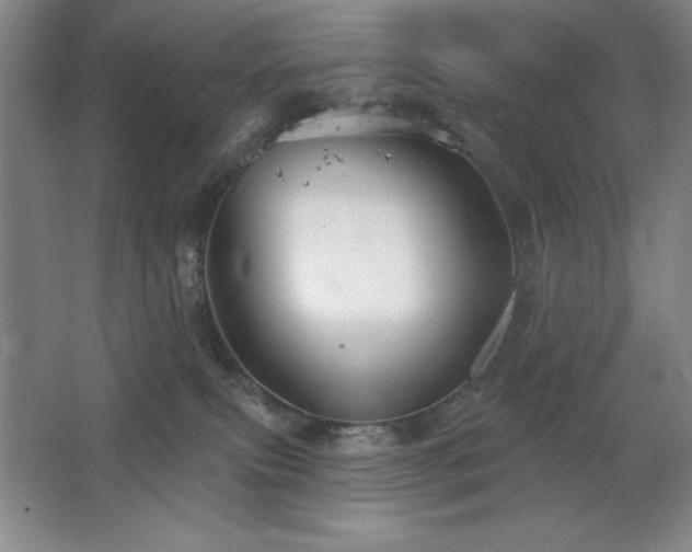 X0000068740087200604281151