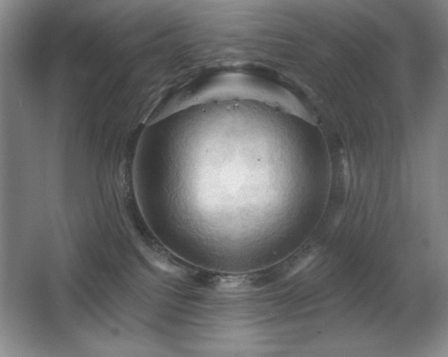 X0000068740088200604281151