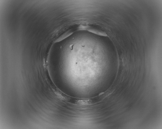 X0000068740089200604281151