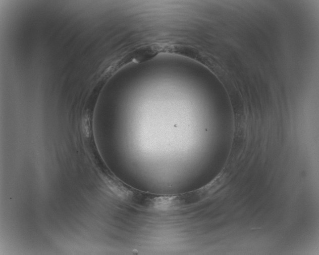 X0000068740090200604281151