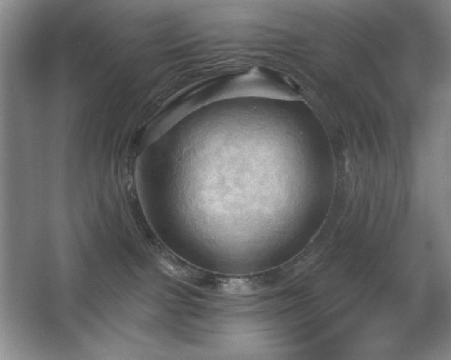 X0000068740091200604281151