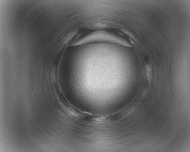 X0000068740092200604281151