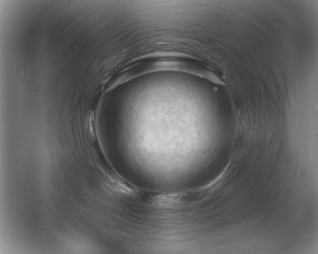 X0000068740094200604281151