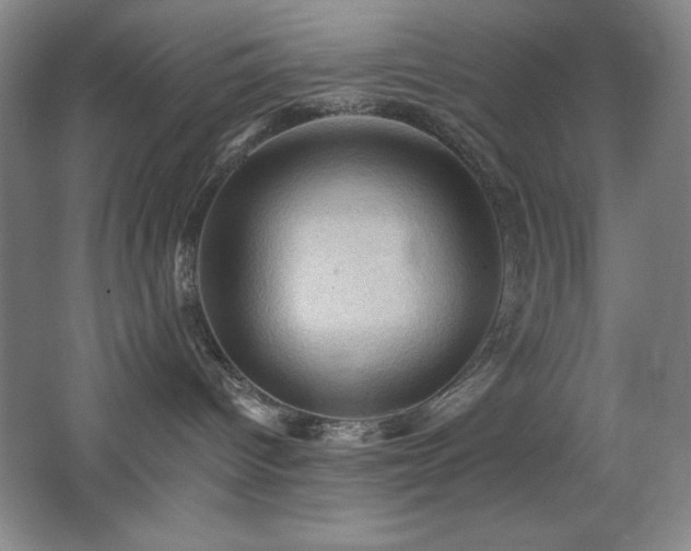 X0000068740096200604281151