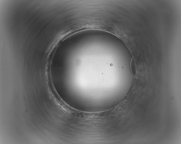 X0000068740098200604281150