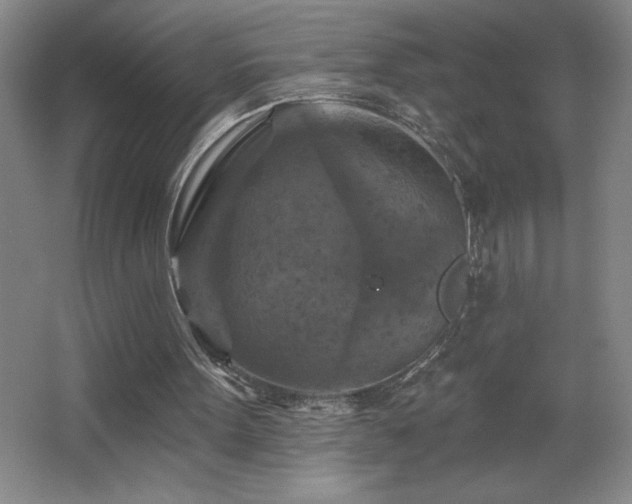 X0000068740099200604281150