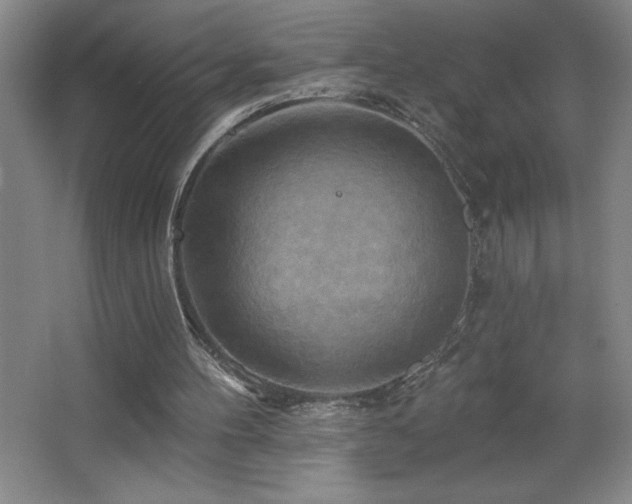 X0000068740100200604281150