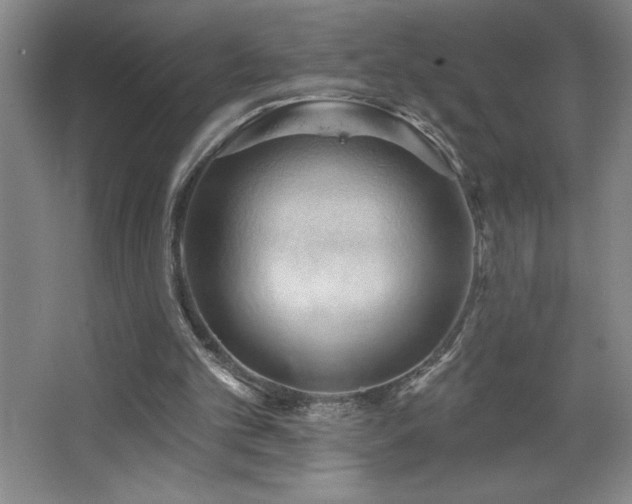 X0000068740101200604281150