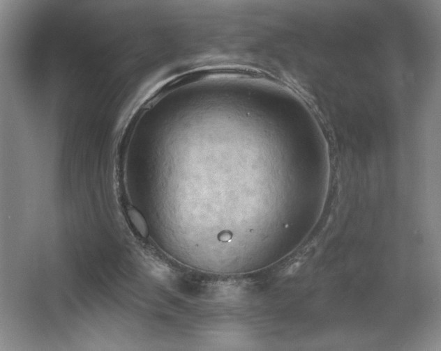 X0000068740103200604281150