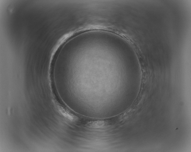 X0000068740104200604281150