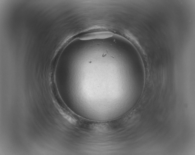 X0000068740106200604281150