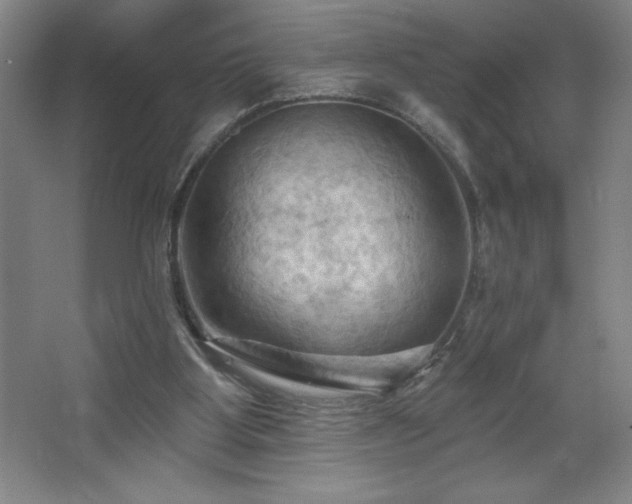 X0000068740107200604281150