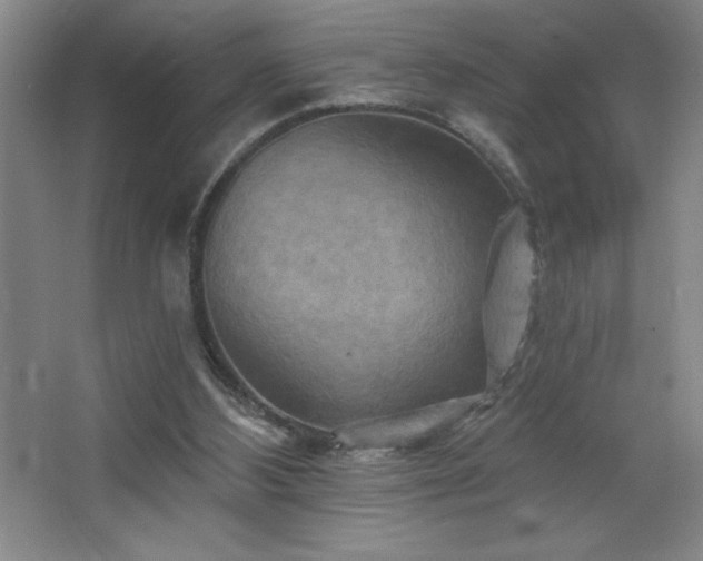 X0000068740108200604281150