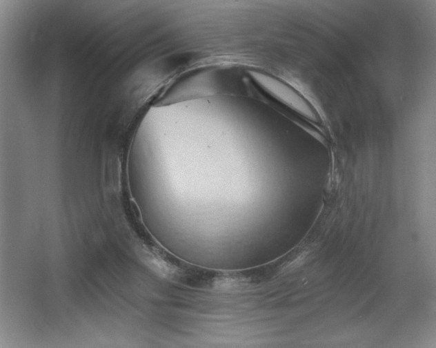 X0000068740109200604281150