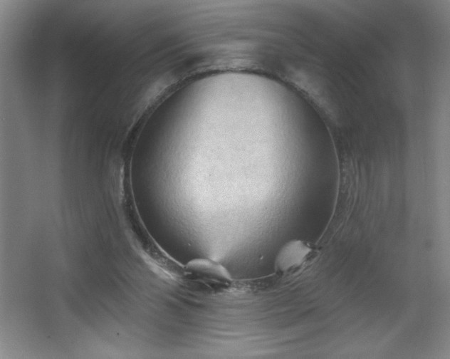 X0000068740110200604281150