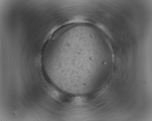 X0000068740111200604281150