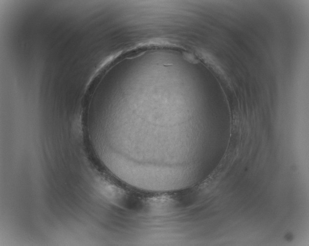 X0000068740112200604281150