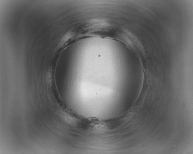 X0000068740113200604281150