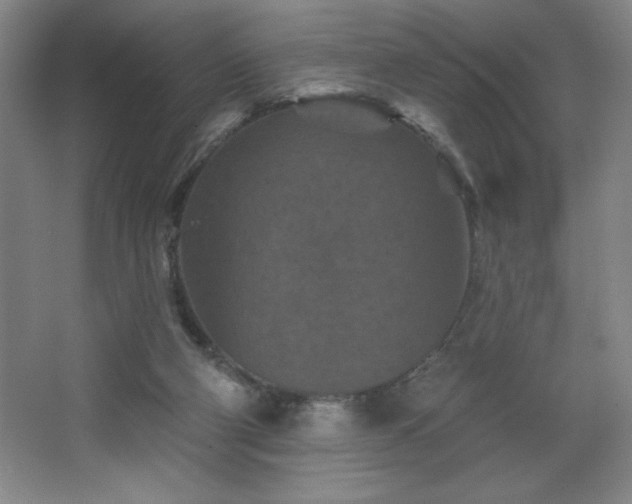 X0000068740114200604281150