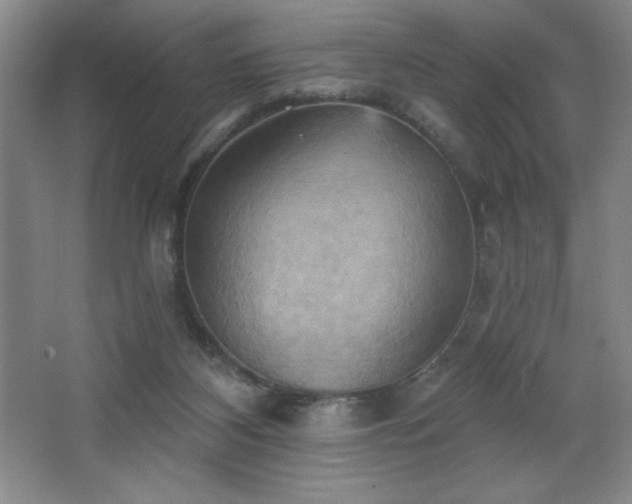 X0000068740116200604281150