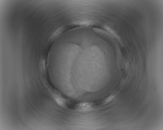 X0000068740117200604281150