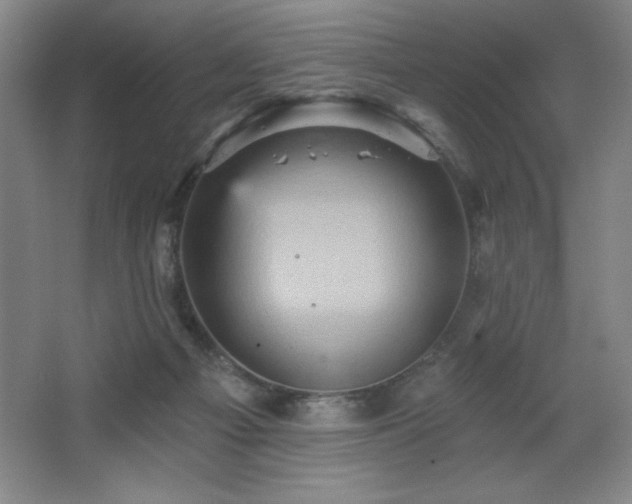 X0000068740121200604281150