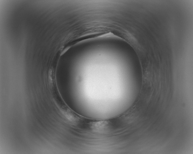 X0000068740122200604281150