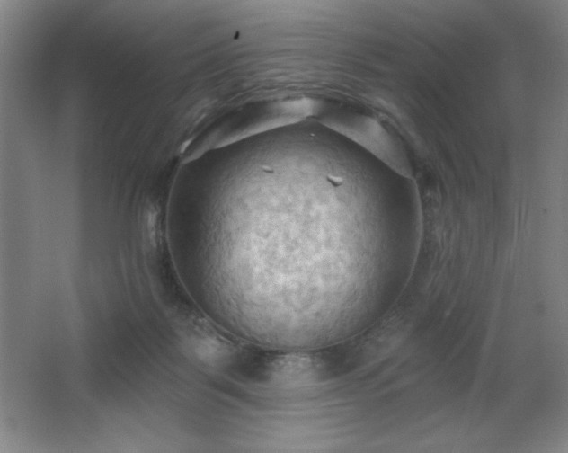 X0000068740123200604281149