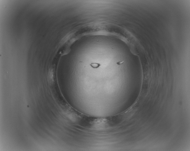 X0000068740124200604281149