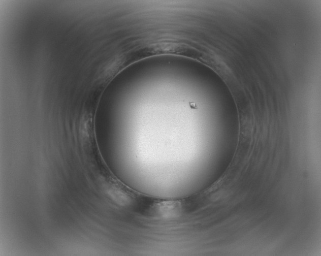 X0000068740126200604281149