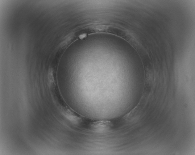 X0000068740128200604281149