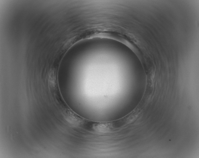 X0000068740129200604281149