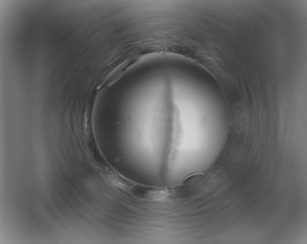 X0000068740131200604281149