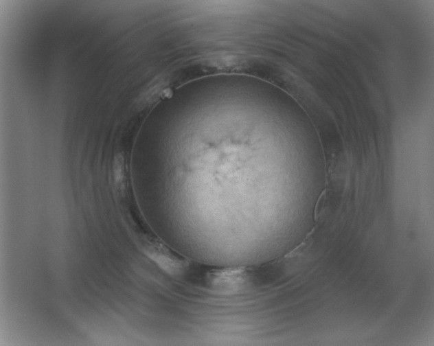 X0000068740132200604281149