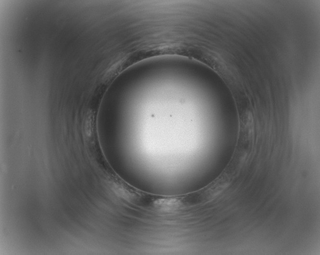 X0000068740133200604281149