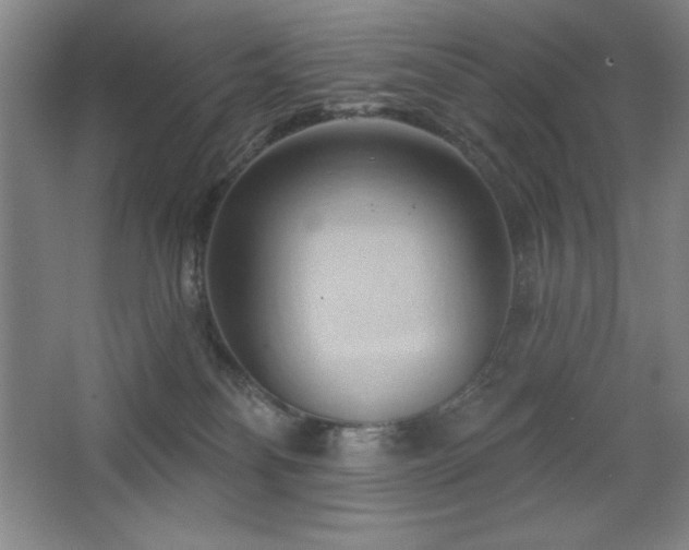 X0000068740134200604281149