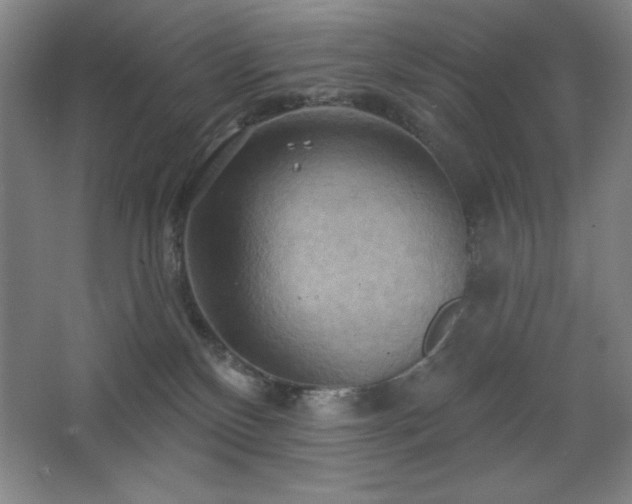 X0000068740136200604281149