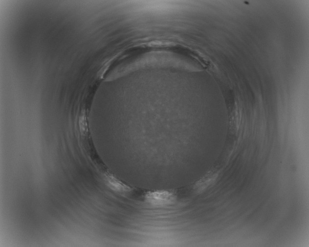 X0000068740137200604281149