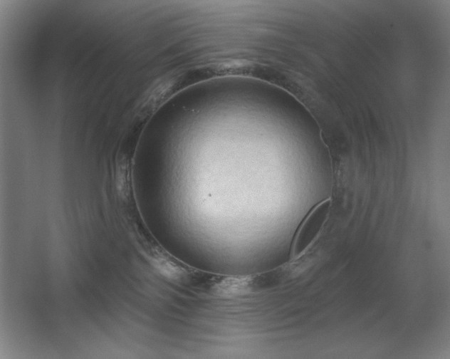 X0000068740138200604281149