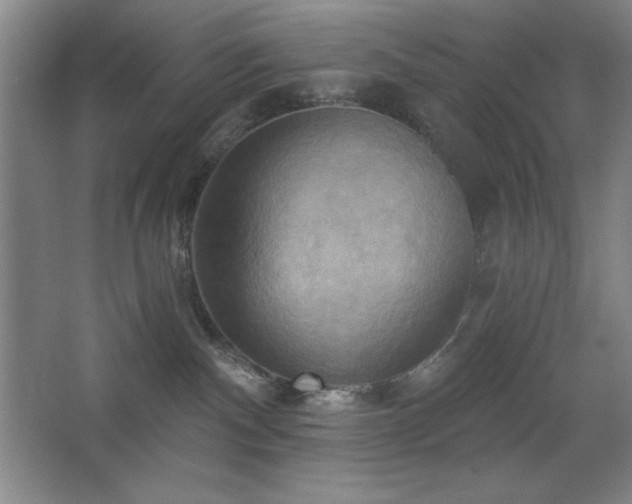 X0000068740140200604281149