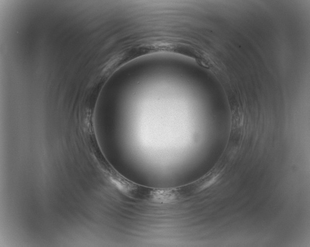 X0000068740141200604281149