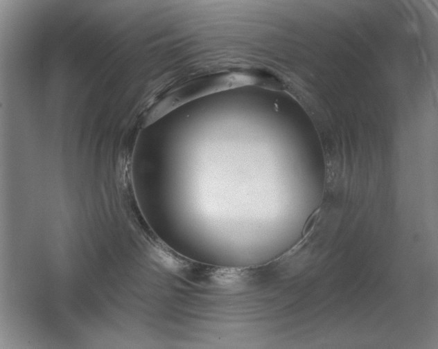 X0000068740142200604281149